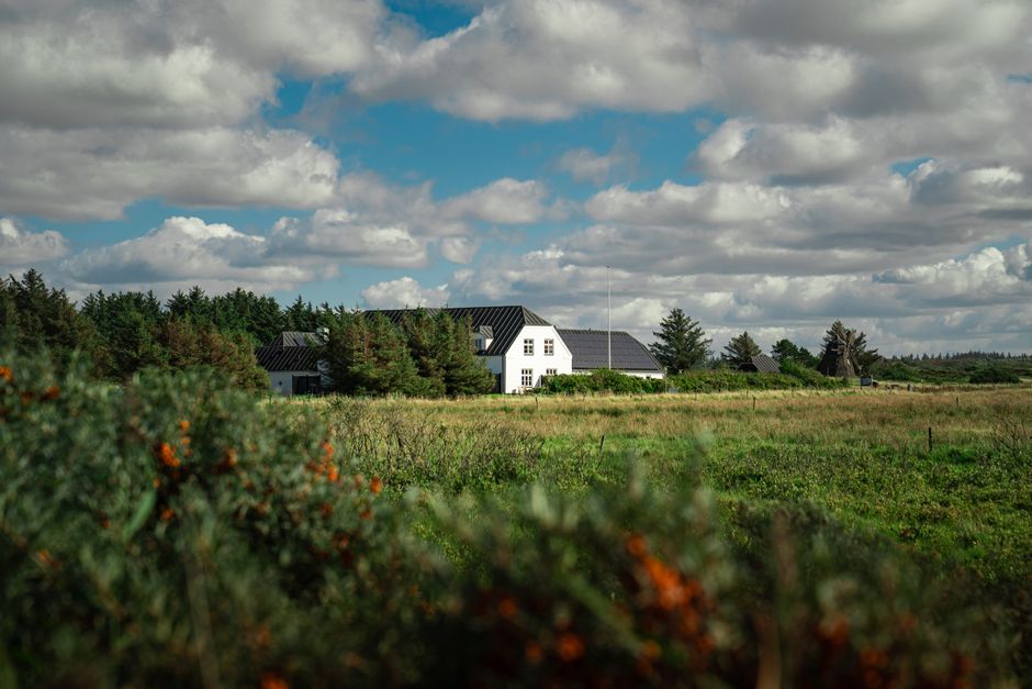 Agroturystyka Cztery Pory Roku - zdjęcie firmy, pensjonaty